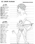 Schema - le corps humain - a completer.jpg